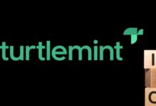 Turtlemint drhp