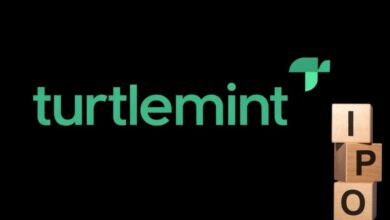 Turtlemint drhp