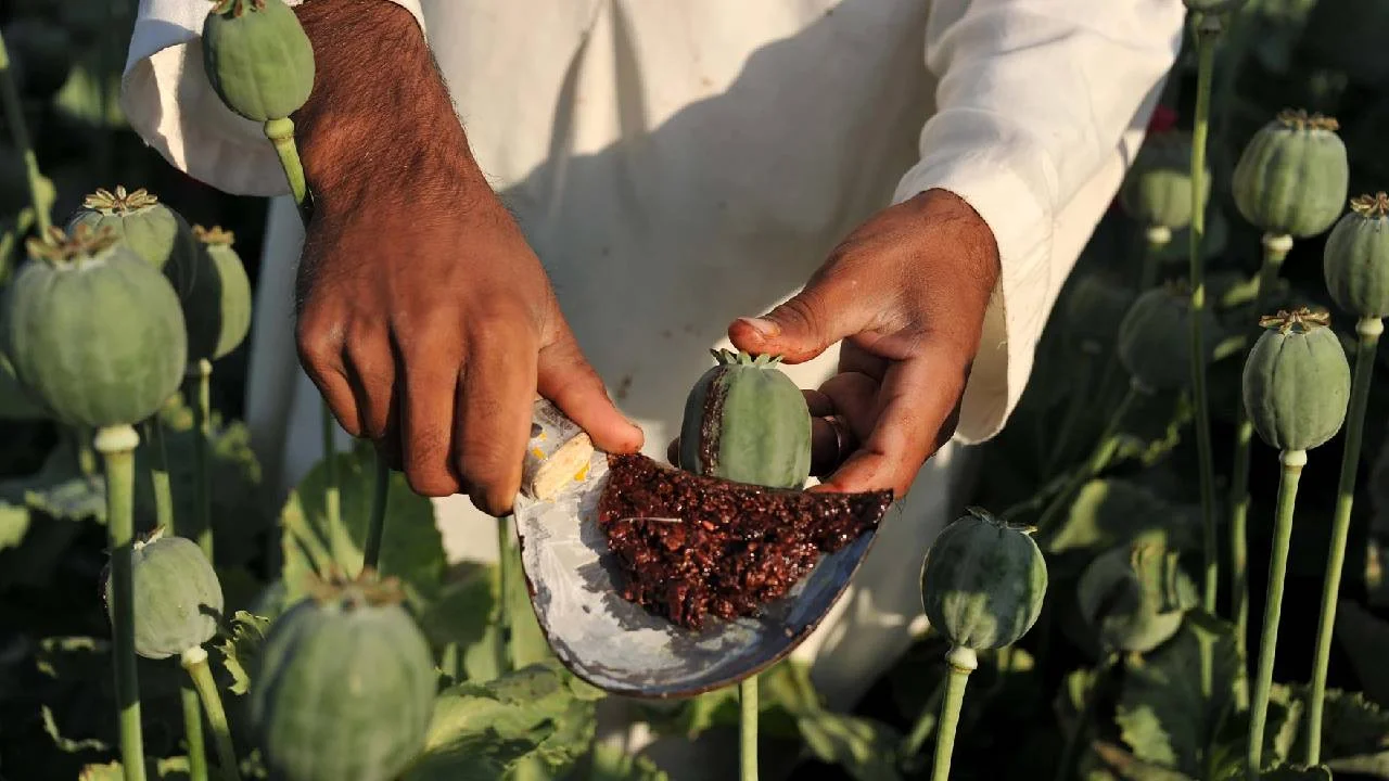 Myanmar’s Drug Crisis Is Becoming India’s National Security Challenge