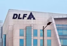 DLF