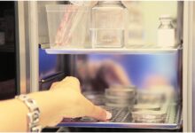 Best Hospitals For Egg Freezing In India: What To Look For Before Choosing A Fertility Centre