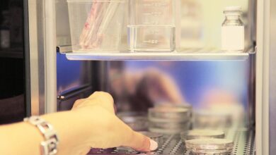 Best Hospitals For Egg Freezing In India: What To Look For Before Choosing A Fertility Centre