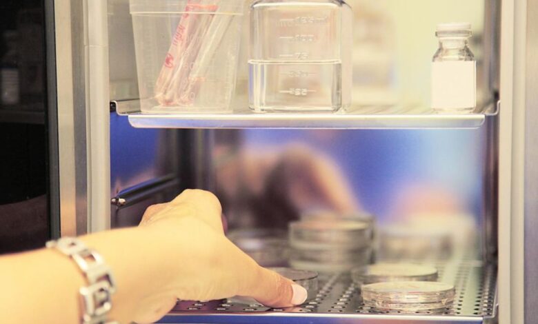 Best Hospitals For Egg Freezing In India: What To Look For Before Choosing A Fertility Centre