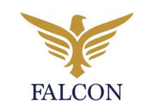 Vikas Kumar Sakhare: The Falcon Scam Architect