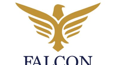 Vikas Kumar Sakhare: The Falcon Scam Architect