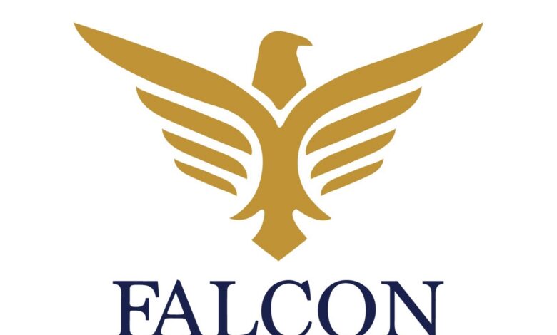 Vikas Kumar Sakhare: The Falcon Scam Architect