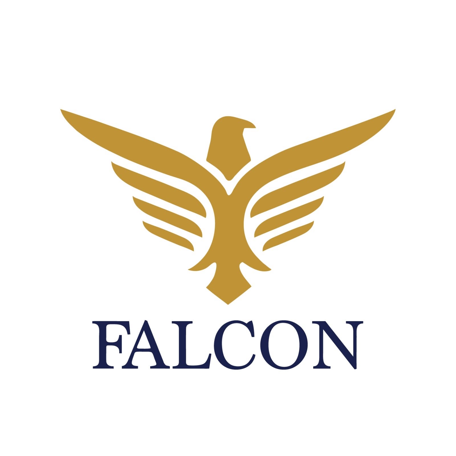 Falcon Invoice Discounting Scam: ED Attaches 18 Crore Linked To Capital Protection Force