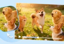 How to Animate Pet Photos into Heartwarming Videos