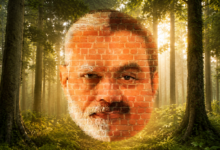 Ek Ped Maa Ke Naam, Pura Jungle Dost Ke Naam: The Story From Mangroves In Raigad To Hasdeo In Chhattisgarh, What More Will Go To Adani?