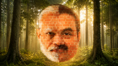 Ek Ped Maa Ke Naam, Pura Jungle Dost Ke Naam: The Story From Mangroves In Raigad To Hasdeo In Chhattisgarh, What More Will Go To Adani?