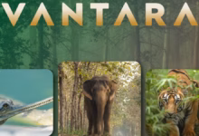 vantara
