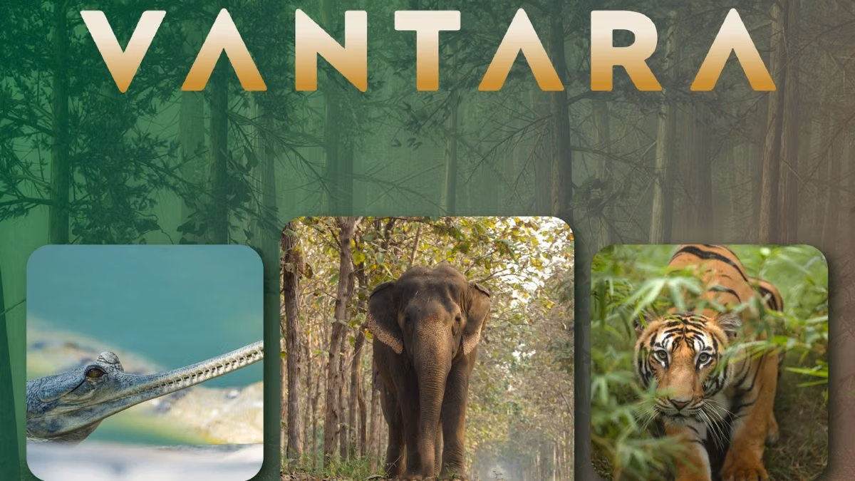 Vantara : The Ark That Can’t Count Its Animals